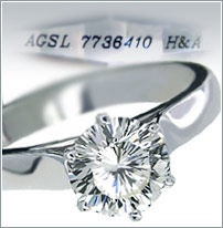 AGS Sample
