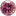 Pink Diamond