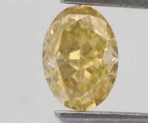 Fancy Brownish Yellow