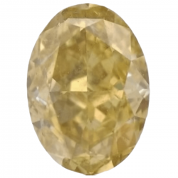 Fancy Brownish Yellow