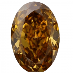 Fancy Deep Brown - Yellow