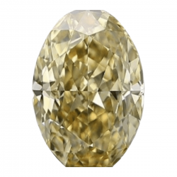 Fancy Brownish - Yellow